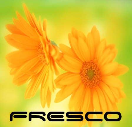 FRESCO Cleaning Services — photo
