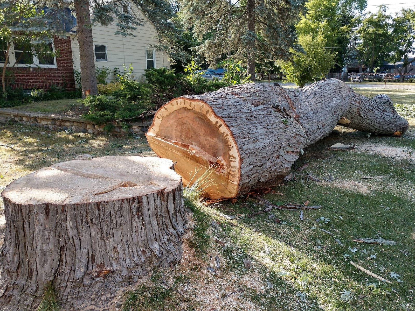 ProCare Tree Services LLC in Auburn Hills
