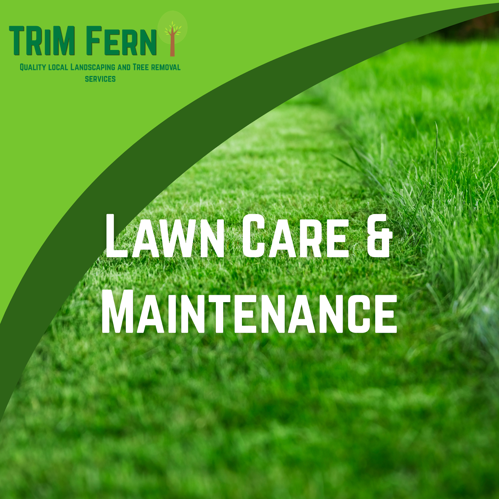 TRiM Fern in Auburn Hills